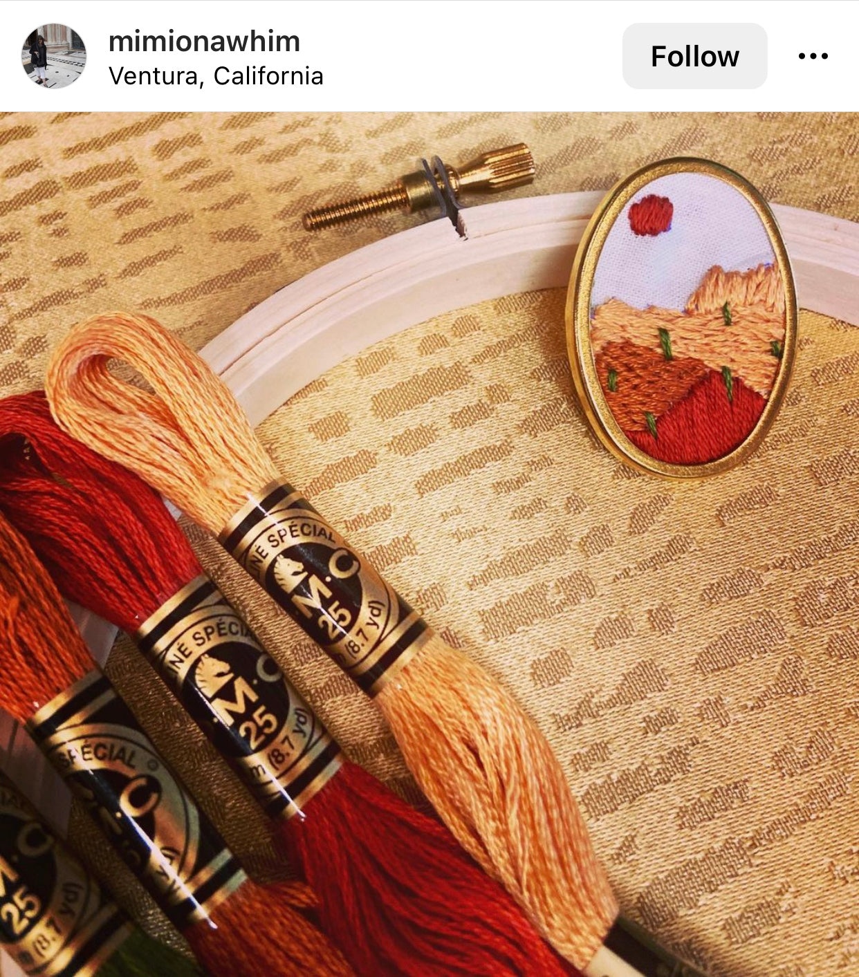 Desert Landscape Pin - Beginner DIY Embroidery Craft Kit