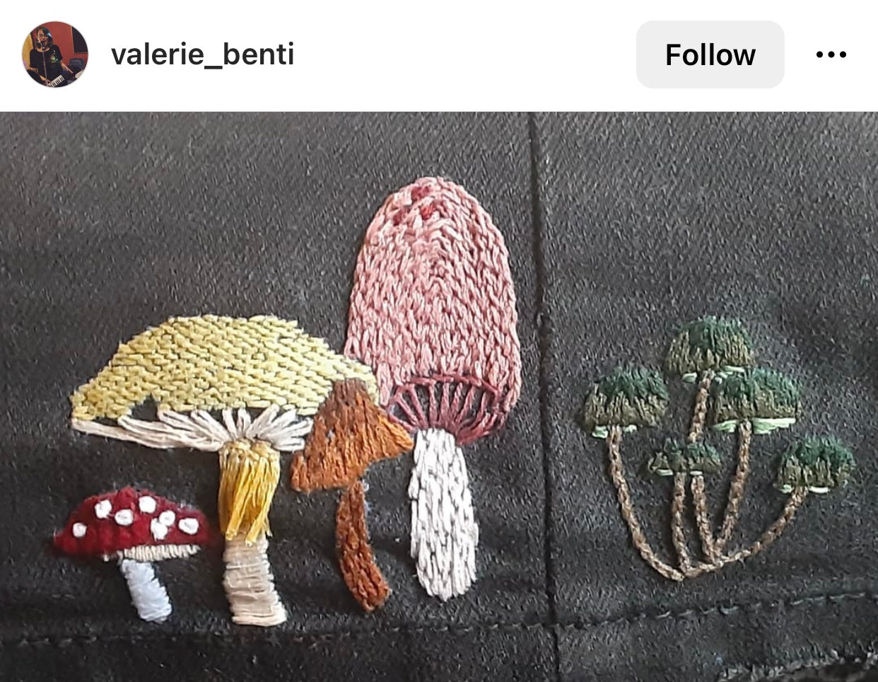 Mushrooms - Peel Stick and Stitch Hand Embroidery Patterns